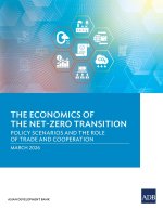 The Economics of the Net-Zero Transition