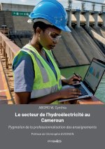 Le secteur de l'hydroélectricité au Cameroun