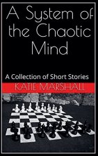 A System of the Chaotic Mind