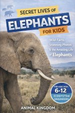Secret Lives of Elephants for Kids