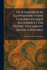 De Judaeorum in Elephantine-Syene Colonia Eiusque Rationibus Cum Vetere Testamente Intercedentibus