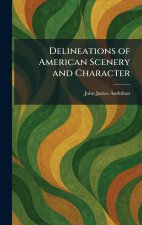 Delineations of American Scenery and Character