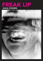 Freak Lip, Volume 5 – Essays of the Unsaid