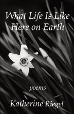 What Life Is Like Here on Earth