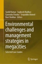 Environmental challenges and management strategies in megacities