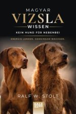 Magyar Vizsla Wissen: Kein Hund für nebenbei