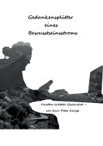 Gedankensplitter eines Bewusststeinstroms