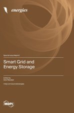 Smart Grid and Energy Storage