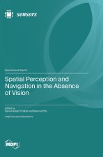 Spatial Perception and Navigation in the Absence of Vision