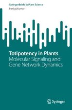 Totipotency in Plants
