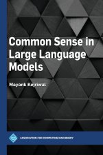 Common Sense in Large Language Models