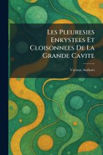 Les Pleuresies Enkystees et cloisonnees de la grande cavite