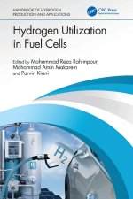 Hydrogen Utilization in Fuel Cells