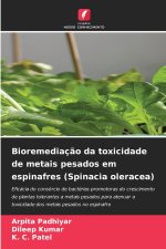 Bioremediação da toxicidade de metais pesados em espinafres (Spinacia oleracea)