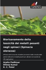 Biorisanamento della tossicità dei metalli pesanti negli spinaci (Spinacia oleracea)