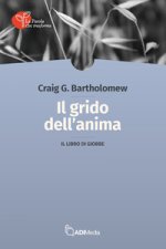 grido dell'anima. Il libro di Giobbe