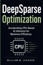 DeepSparse Optimization