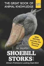 Shoebill Storks for Kids