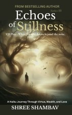 Echoes of Stillness
