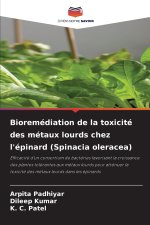 Bioremédiation de la toxicité des métaux lourds chez l'épinard (Spinacia oleracea)