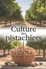 Culture des pistachiers