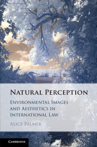 Natural Perception