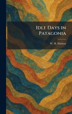Idle Days in Patagonia