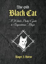 The Old Black Cat