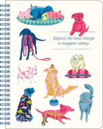 Spiral Notebook: Expect the Best Things to Happen Today.