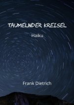 Taumelnder Kreisel