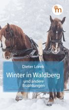 Winter in Waldberg