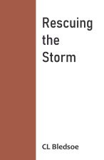Rescuing the Storm