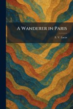 A Wanderer in Paris