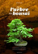 De l'arbre au bonsaï