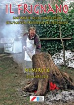 Frignano. Contributi alla conoscenza dell'antica provincia del Frignano