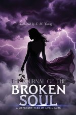 The Journal Of The Broken Soul