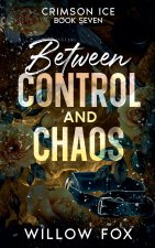 Between Control and Chaos