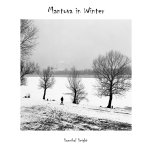Mantova in winter