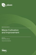 Maize Cultivation and Improvement