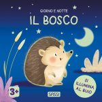 bosco. Giorno e notte