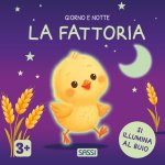 fattoria. Giorno e notte