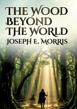 THE WOOD BEYOND THE WORLD