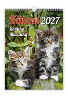 Koťátka 2027 - nástěnný kalendář
