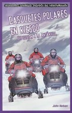 Casquetes Polares en Riesgo: Expedicion a la Antartida