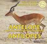Antelope/Antilopes