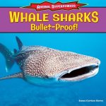 Whale Sharks: Bulletproof!