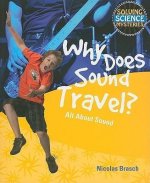 Why Does Sound Travel?: All about Sound