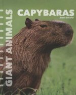 Capybaras
