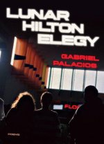 Lunar Hilton Elegy