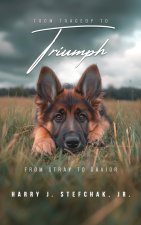 From Tragedy to Triumph